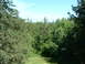 Picture 019.jpg